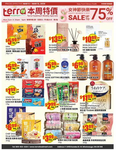 Terra Foodmart Flyer March 6 to 12