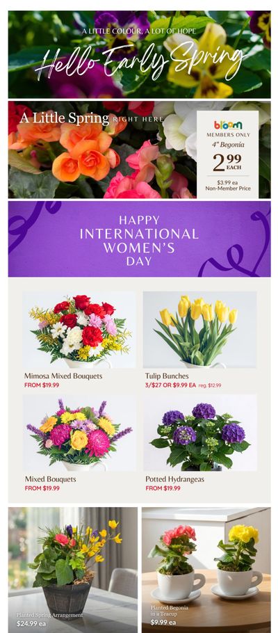 Lakeside Garden Gallery Flyer March 6 to 12