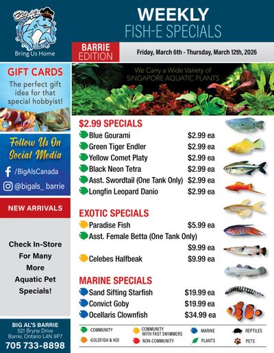 Big Al's (Barrie) Weekly Specials March 6 to 12