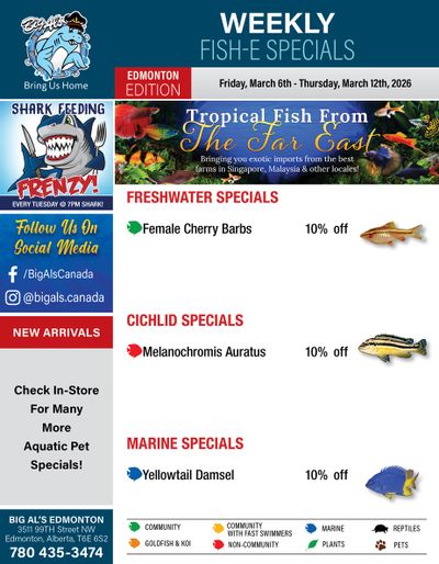 Big Al's (Edmonton) Weekly Specials March 6 to 12