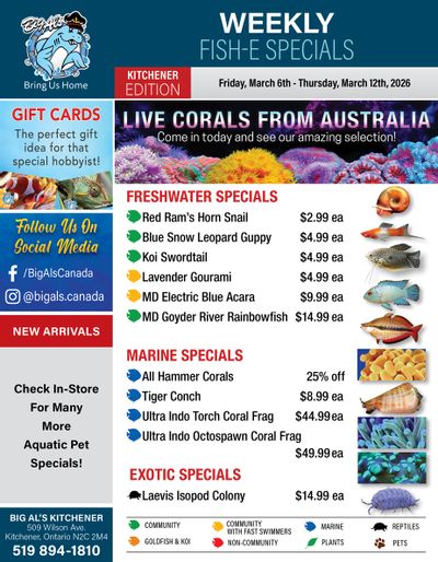Big Al's (Kitchener) Weekly Specials March 6 to 12
