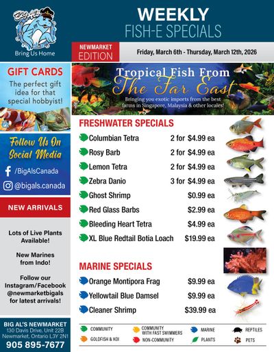 Big Al's (Newmarket) Weekly Specials March 6 to 12