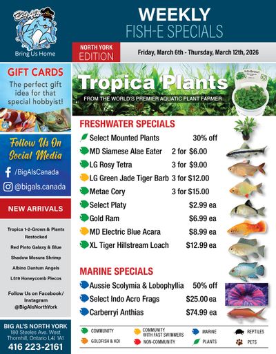 Big Al's (North York) Weekly Specials March 6 to 12