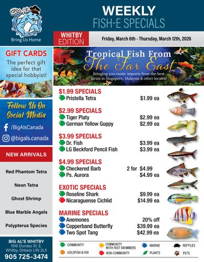Big Al's (Whitby) Weekly Specials March 6 to 12