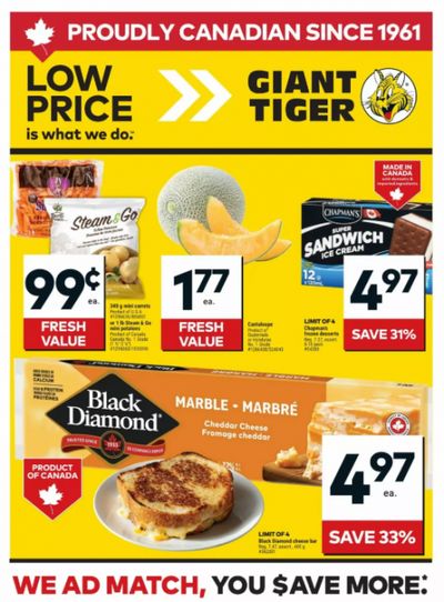 Giant Tiger Canada Flyer Deals March 11th – 17th