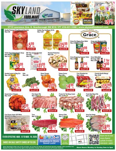 Skyland Food Mart Flyer March 13 to 19