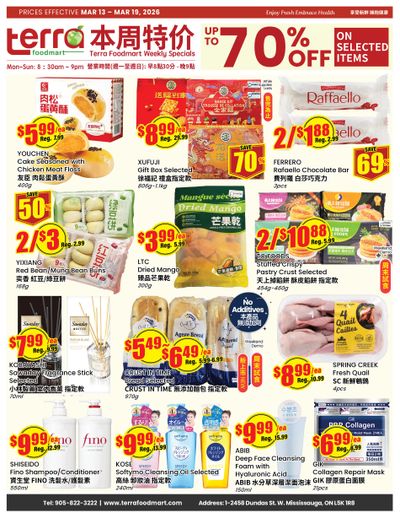 Terra Foodmart Flyer March 13 to 19