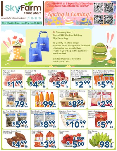 SkyFarm Food Mart Flyer March 13 to 19