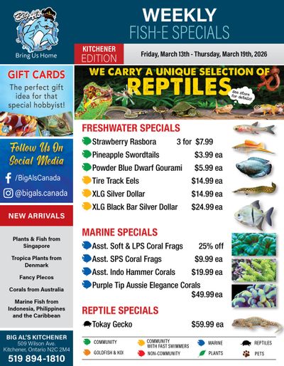 Big Al's (Kitchener) Weekly Specials March 13 to 19