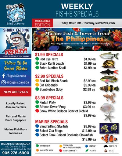 Big Al's (Mississauga) Weekly Specials March 13 to 19