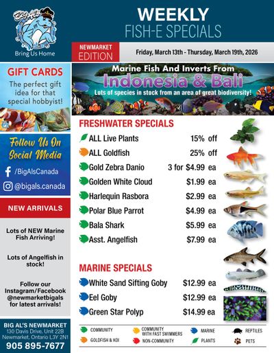 Big Al's (Newmarket) Weekly Specials March 13 to 19