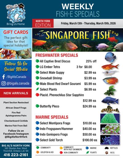 Big Al's (North York) Weekly Specials March 13 to 19