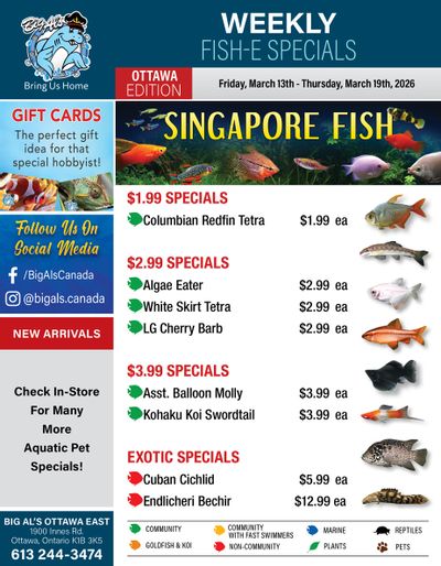 Big Al's (Ottawa) Weekly Specials March 13 to 19
