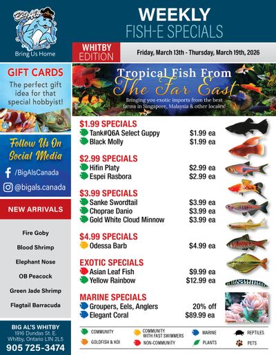 Big Al's (Whitby) Weekly Specials March 13 to 19