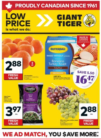 Giant Tiger Canada Flyer Deals March 18th – 24th: Butterball Boneless Turkey Roast $16.47 + More