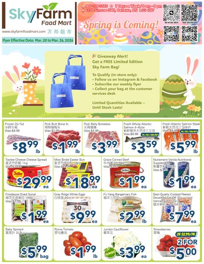 SkyFarm Food Mart Flyer March 20 to 26