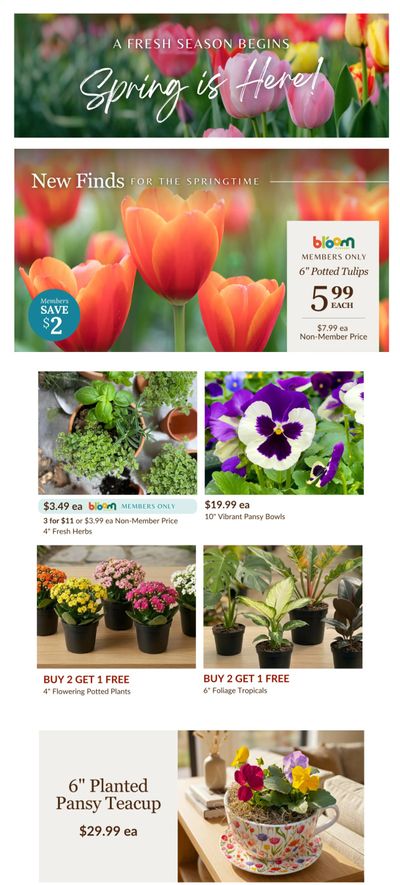 Lakeside Garden Gallery Flyer March 20 to 26