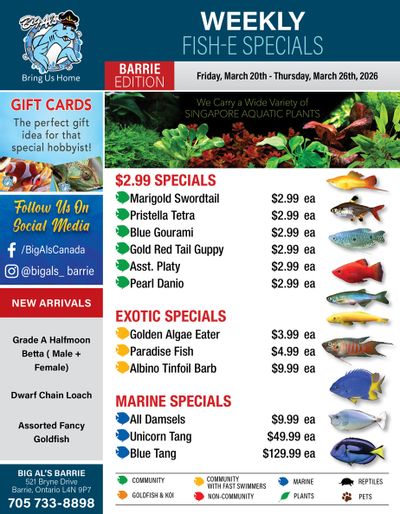 Big Al's (Barrie) Weekly Specials March 20 to 26