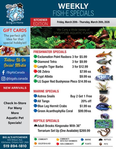 Big Al's (Kitchener) Weekly Specials March 20 to 26