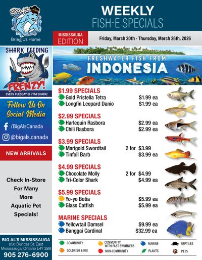 Big Al's (Mississauga) Weekly Specials March 20 to 26