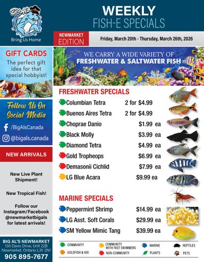 Big Al's (Newmarket) Weekly Specials March 20 to 26