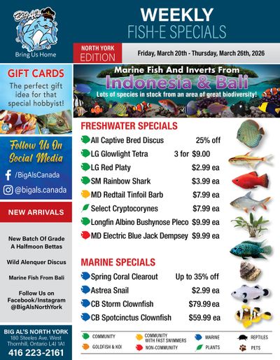 Big Al's (North York) Weekly Specials March 20 to 26