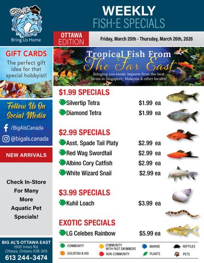 Big Al's (Ottawa) Weekly Specials March 20 to 26