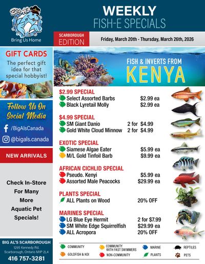 Big Al's (Scarborough) Weekly Specials March 20 to 26
