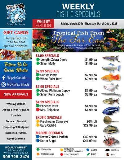 Big Al's (Whitby) Weekly Specials March 20 to 26