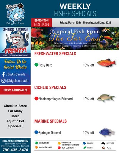 Big Al's (Edmonton) Weekly Specials March 27 to April 2