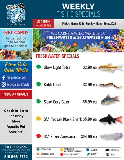 Big Al's (London) Weekend Specials March 27 to 29