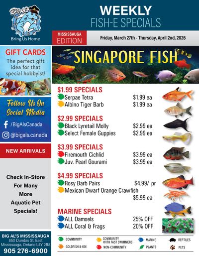 Big Al's (Mississauga) Weekly Specials March 27 to April 2