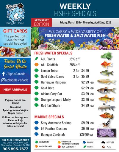 Big Al's (Newmarket) Weekly Specials March 27 to April 2