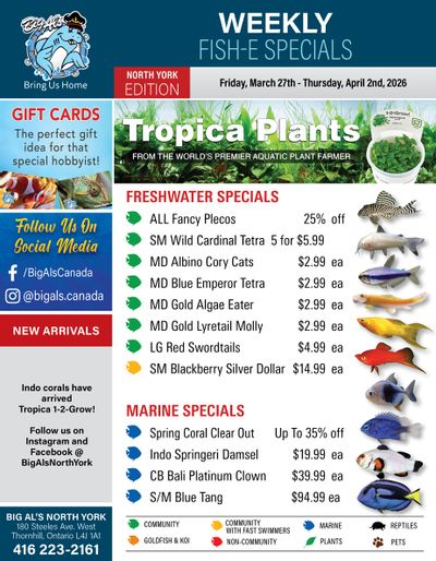 Big Al's (North York) Weekly Specials March 27 to April 2