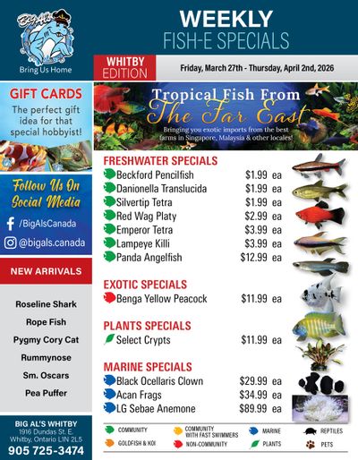 Big Al's (Whitby) Weekly Specials March 27 to April 2