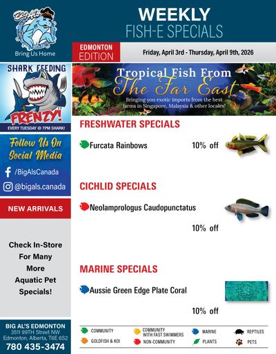 Big Al's (Edmonton) Weekly Specials April 3 to 9