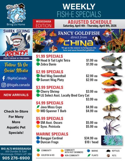 Big Al's (Mississauga) Weekly Specials April 4 to 9