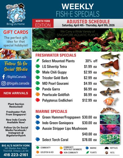 Big Al's (North York) Weekly Specials April 4 to 9