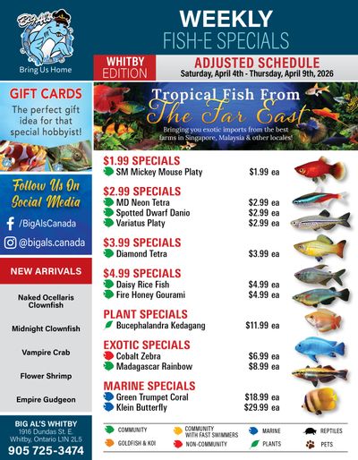 Big Al's (Whitby) Weekly Specials April 4 to 9