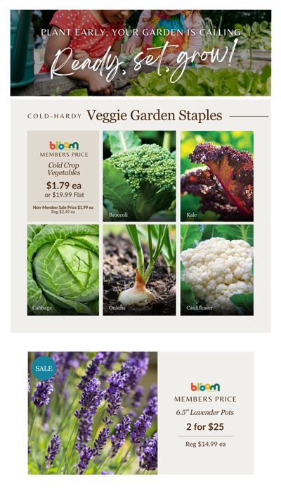 Lakeside Garden Gallery Flyer April 10 to 16