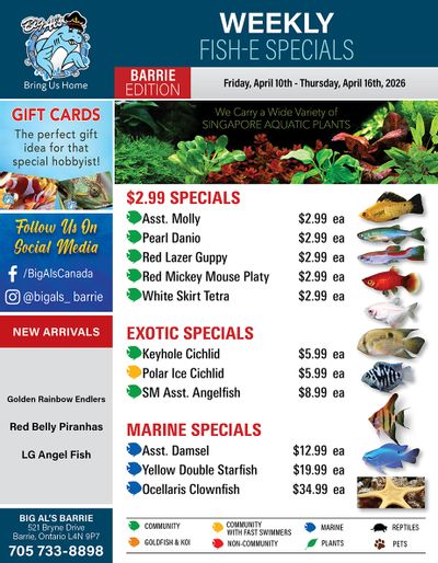Big Al's (Barrie) Weekly Specials April 10 to 16
