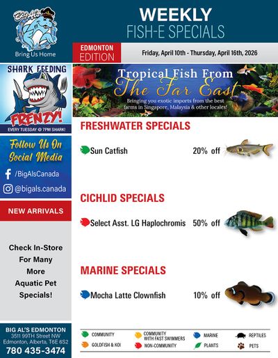 Big Al's (Edmonton) Weekly Specials April 10 to 16