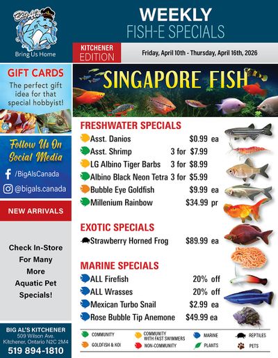 Big Al's (Kitchener) Weekly Specials April 10 to 16