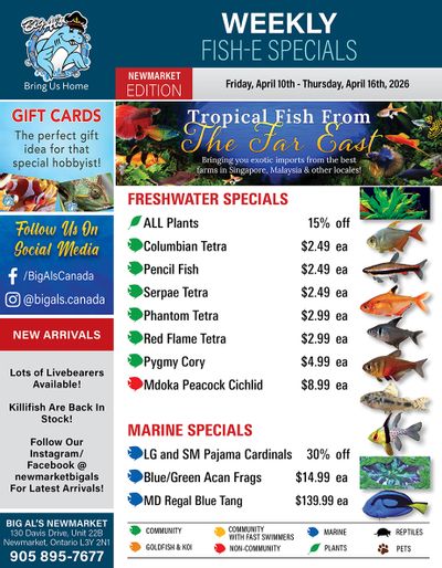 Big Al's (Newmarket) Weekly Specials April 10 to 16