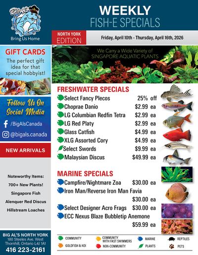 Big Al's (North York) Weekly Specials April 10 to 16