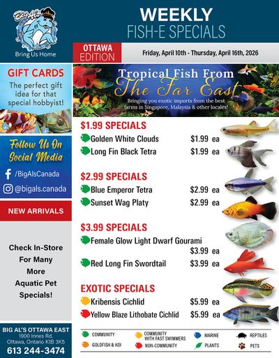 Big Al's (Ottawa) Weekly Specials April 10 to 16