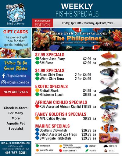 Big Al's (Scarborough) Weekly Specials April 10 to 16