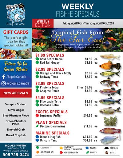 Big Al's (Whitby) Weekly Specials April 10 to 16