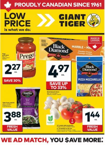 Giant Tiger Canada Flyer Deals April 15th – 21st