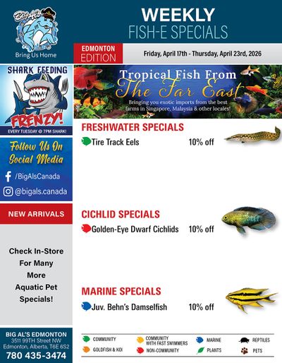 Big Al's (Edmonton) Weekly Specials April 17 to 23